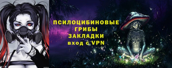 дурь Алзамай