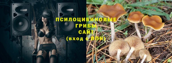 дурь Алзамай